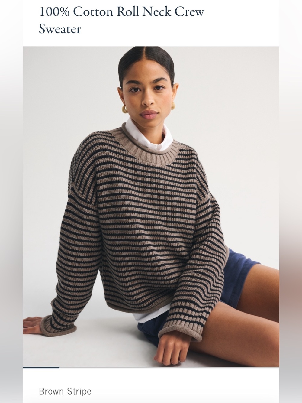 Abercrombie Roll Neck - Brown Stripe